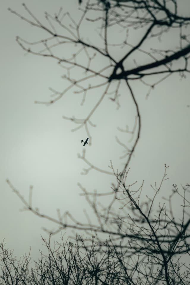 Granițe emoționale: cum le pui fără vină