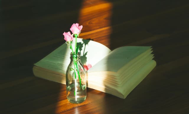 Biblioterapie erotică – cărți care îți pot salva viața intimă