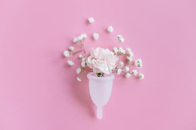 Sex și ciclu menstrual – mituri demontate științific