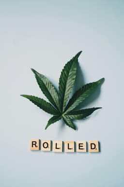 Sex terapeutic vs sex recreativ: ce rol are dialogul